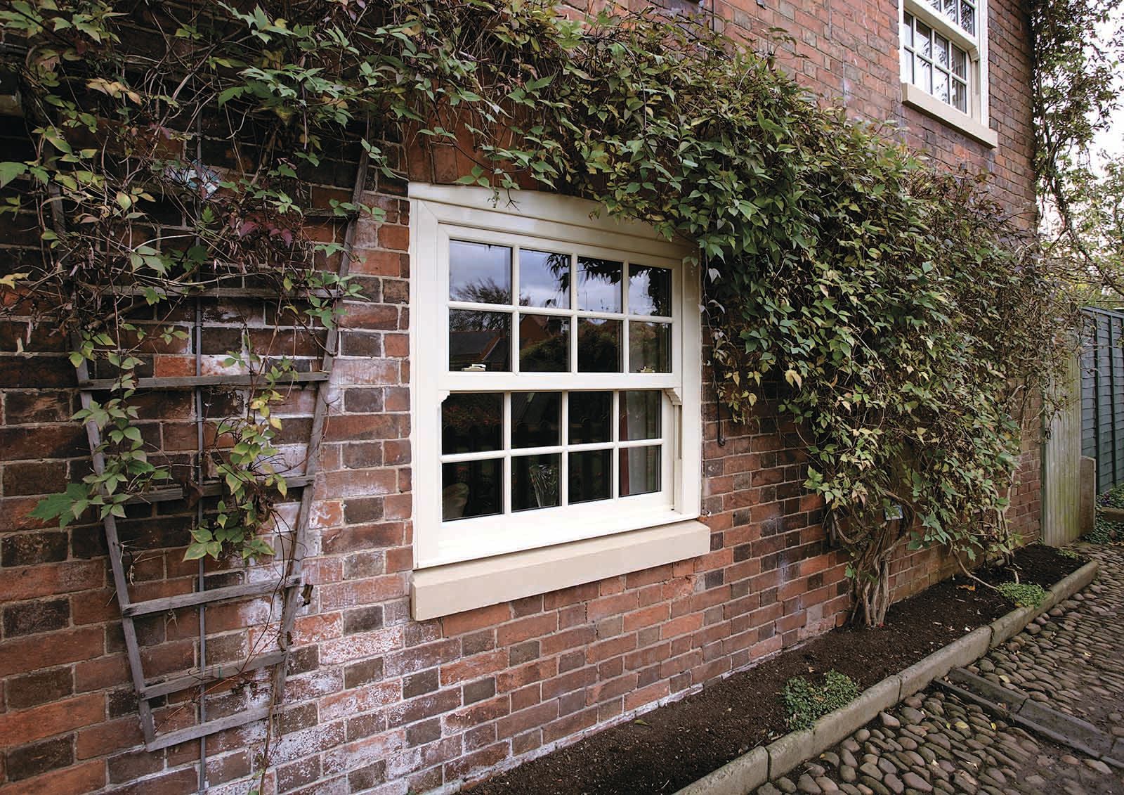 sliding sash windows with wall plant surrounding